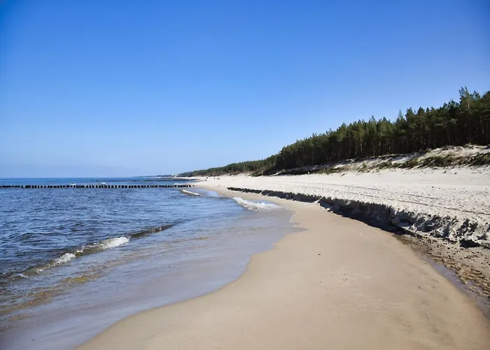 Comfortable Homes, Mielenko